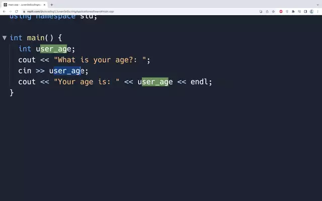 C++ User Input Calvin Huang